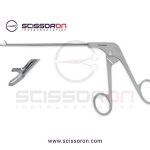 Regular Basket Punch_03