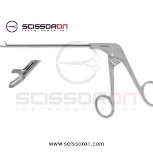 Regular Basket Punch_03