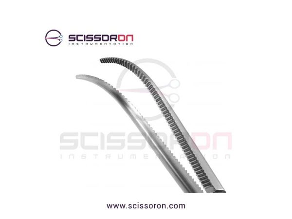 Rochester-Mixter artery forceps_02