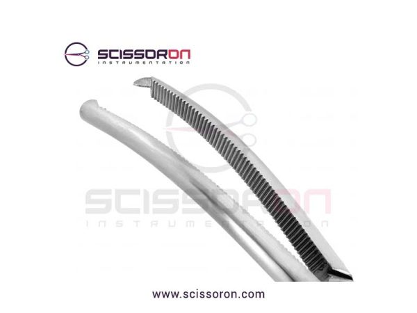 Rochester-Ochsner hemostatic artery forceps CVD_02