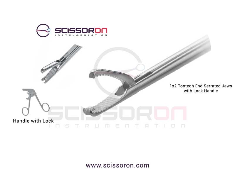 Shark Grasper Punch_01