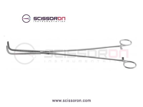 mixter dissecting forcrps_03 mixter dissecting forcrps_03
