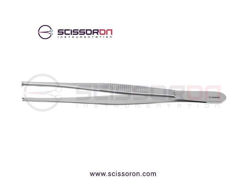 Standard Tissue Forceps 2x3 Teeth End