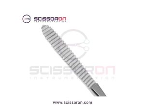 Brown Rasp Forward Cutting Surface