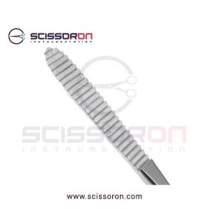 Brown Rasp Forward Cutting Surface