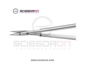 Jacobson-ScissorStraight_02