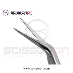 Jacobson Microsurgical Dissecting Scissor-02