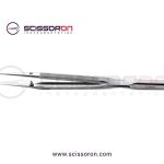 Pierse Tissue Forceps Round Counterweight Handle
