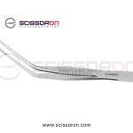 Blake Endaural Forceps