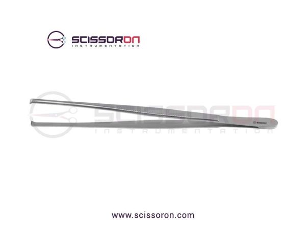 Martin Tissue Forceps 7x8 Teeth Ends