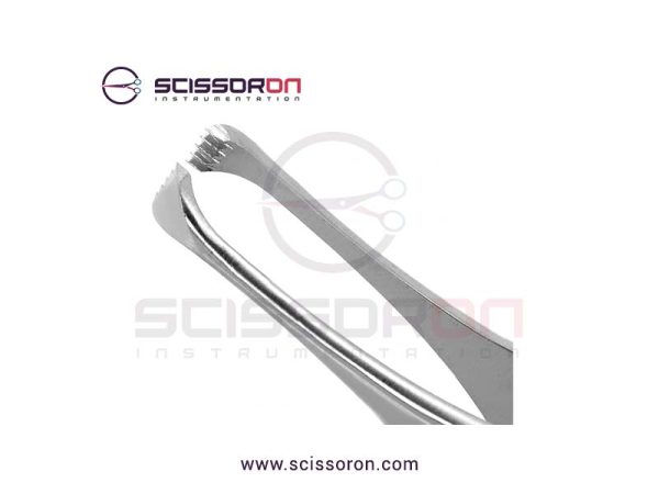 Beasley-Babcock Tissue Forceps with 5x5 Teeth Ends