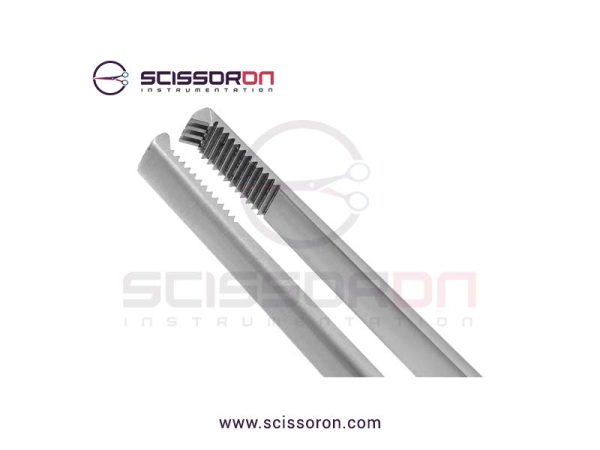 Adlerkreutz or Adlercreutz Tissue Forceps