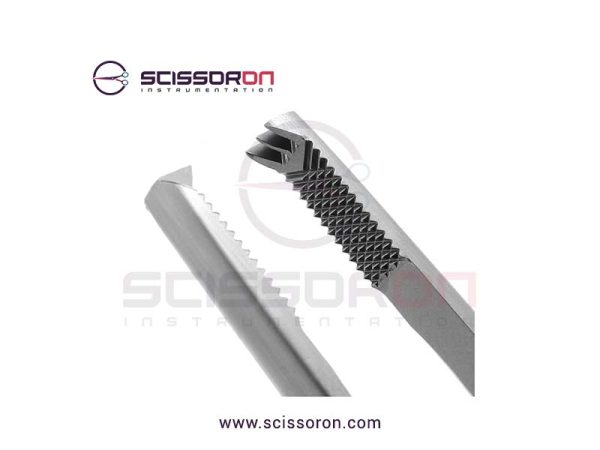 Ferris-Smith Tissue Forceps 2x3 Teeth End Jaws