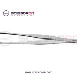 Lane Tissue Forceps 2x3 Teeth End with Plain Handle