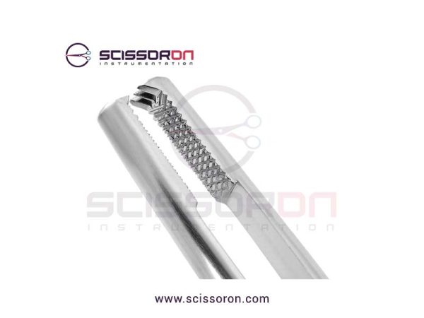 Lane Tissue Forceps 2x3 Teeth End with Plain Handle-02