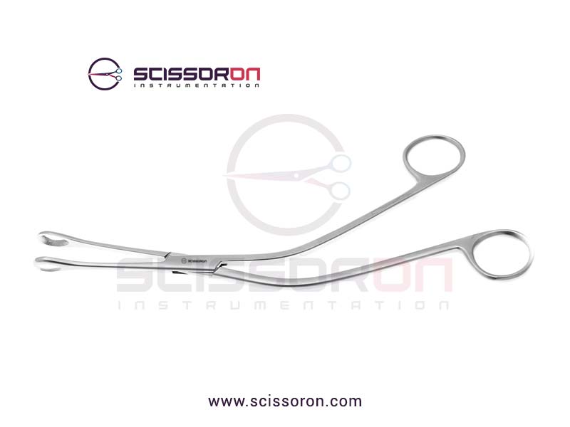 Denis-Browne Thyroid Holding Forceps