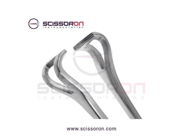 Babcock Tissue Forceps Teeth End Jaws