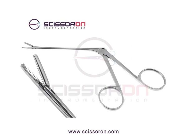 Noyes Ear Tissue Forceps with 1x2 Teeth End