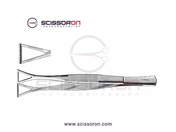 Collin-Duval-Intestinal-Forceps Collin-Duval-Intestinal-Forceps