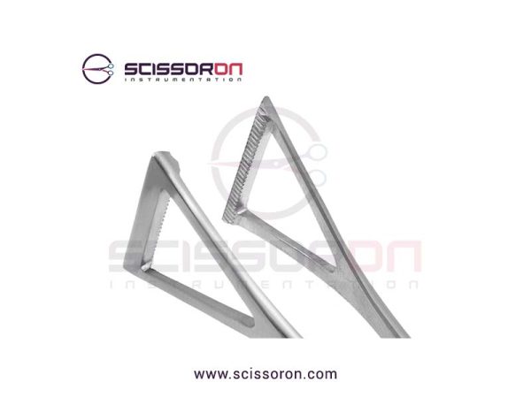 Duval-Crile-intestinal-forceps-2