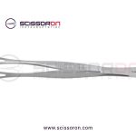 Duval-Intestinal-Forceps-1