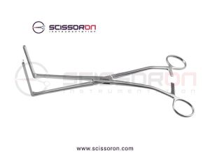 Glassman-Anterior-1