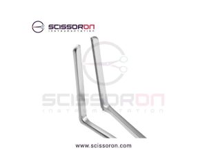 Glassman-Anterior-2