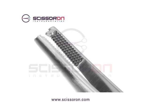 Lane Tissue Forceps 1x2 Teeth End with Plain Handle-02