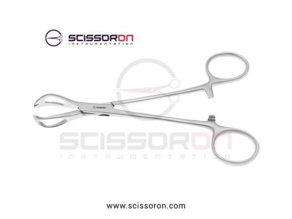 Lane Tissue Forceps