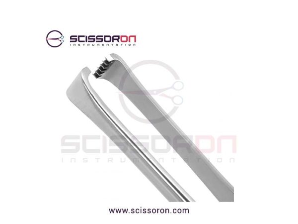 Nelson Tissue Forceps with 6x7 Teeth End