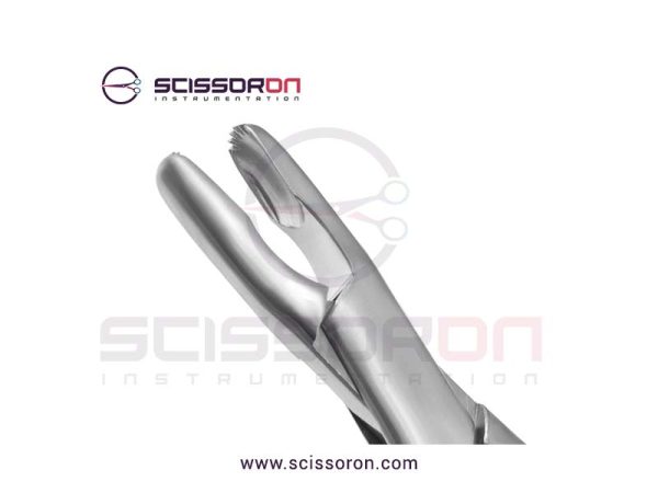 Stille-Luer-Rat-Tooth-Rongeur-2