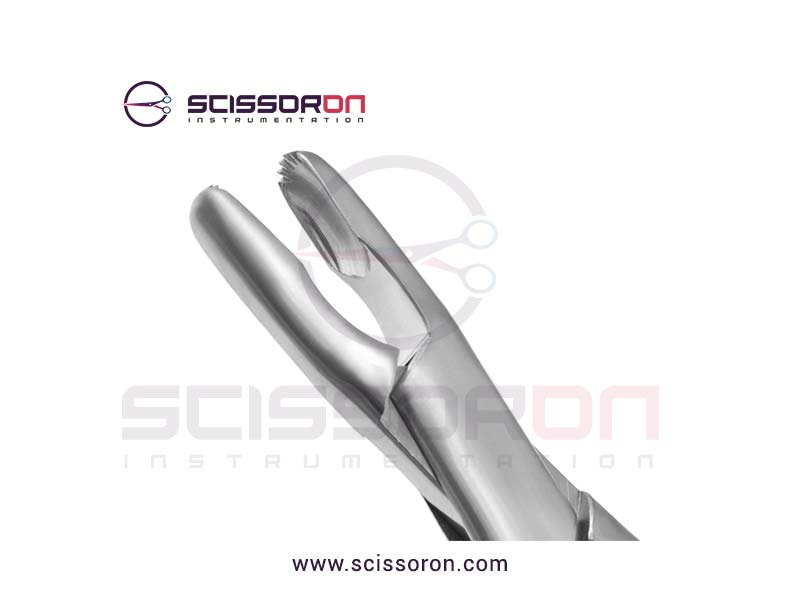 Stille-Luer-Rat-Tooth-Rongeur-2