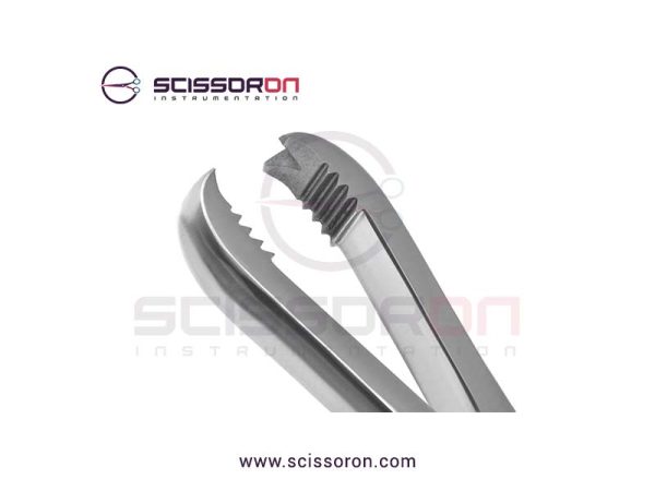 Langenbeck Bone Holding Forceps 2x2 Teeth End