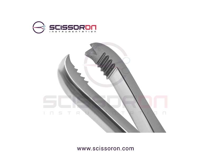 Langenbeck Bone Holding Forceps 2x2 Teeth End