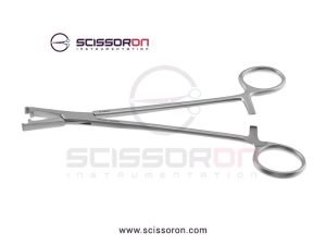 LeRoy-Scalp-1