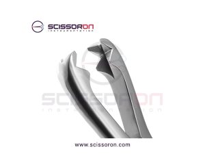 Ferguson Bone Holding Forceps Heavy Teeth Jaws