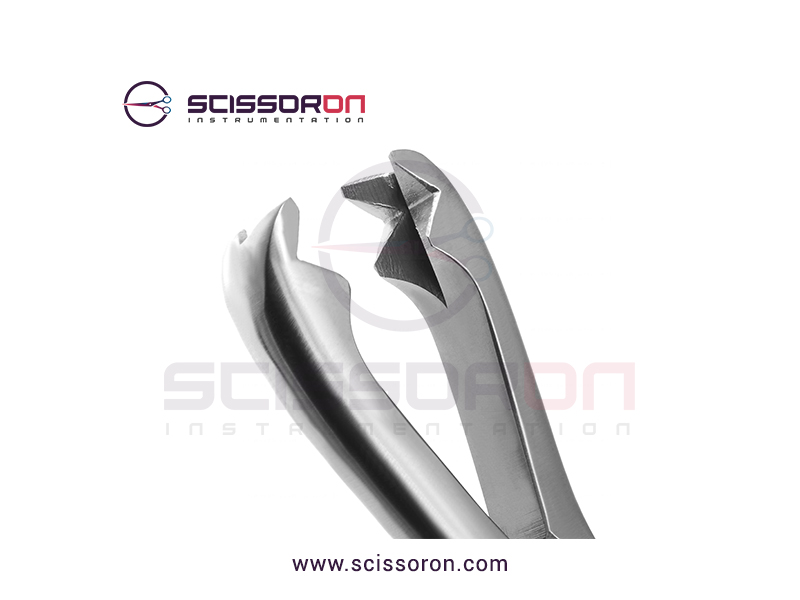 Ferguson Bone Holding Forceps Heavy Teeth Jaws