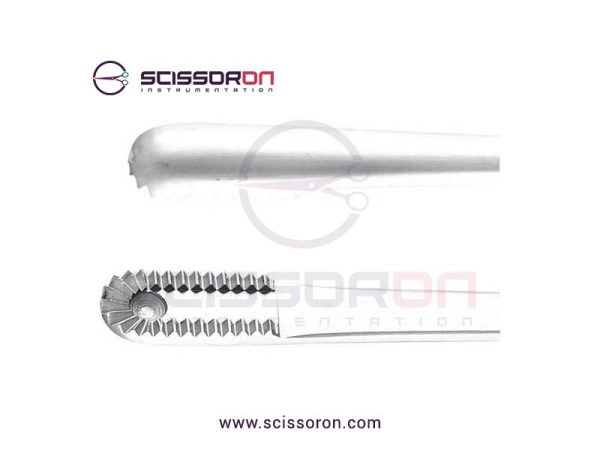 Davis Tissue Forceps-02