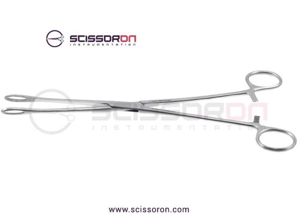 Fletcher Sponge Holding Forceps Straight Jaws-01