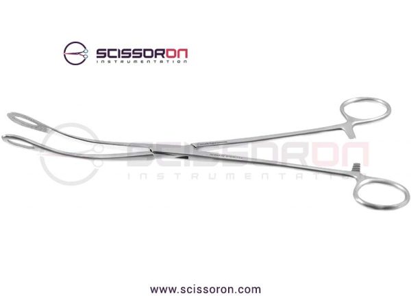 Fletcher Sponge Holding Forceps Curved Jaws-01