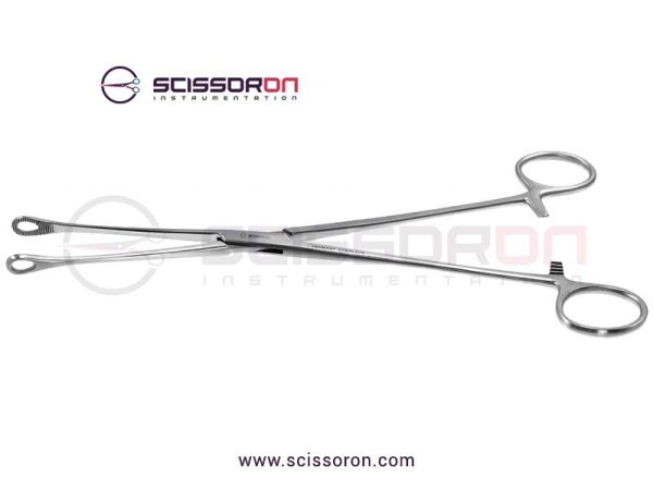 Bergmann-Foerster Sponge Forceps Straight Jaws-01